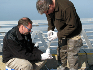 Volunteers collect water quality samples near the mouth of the Kenai River.
