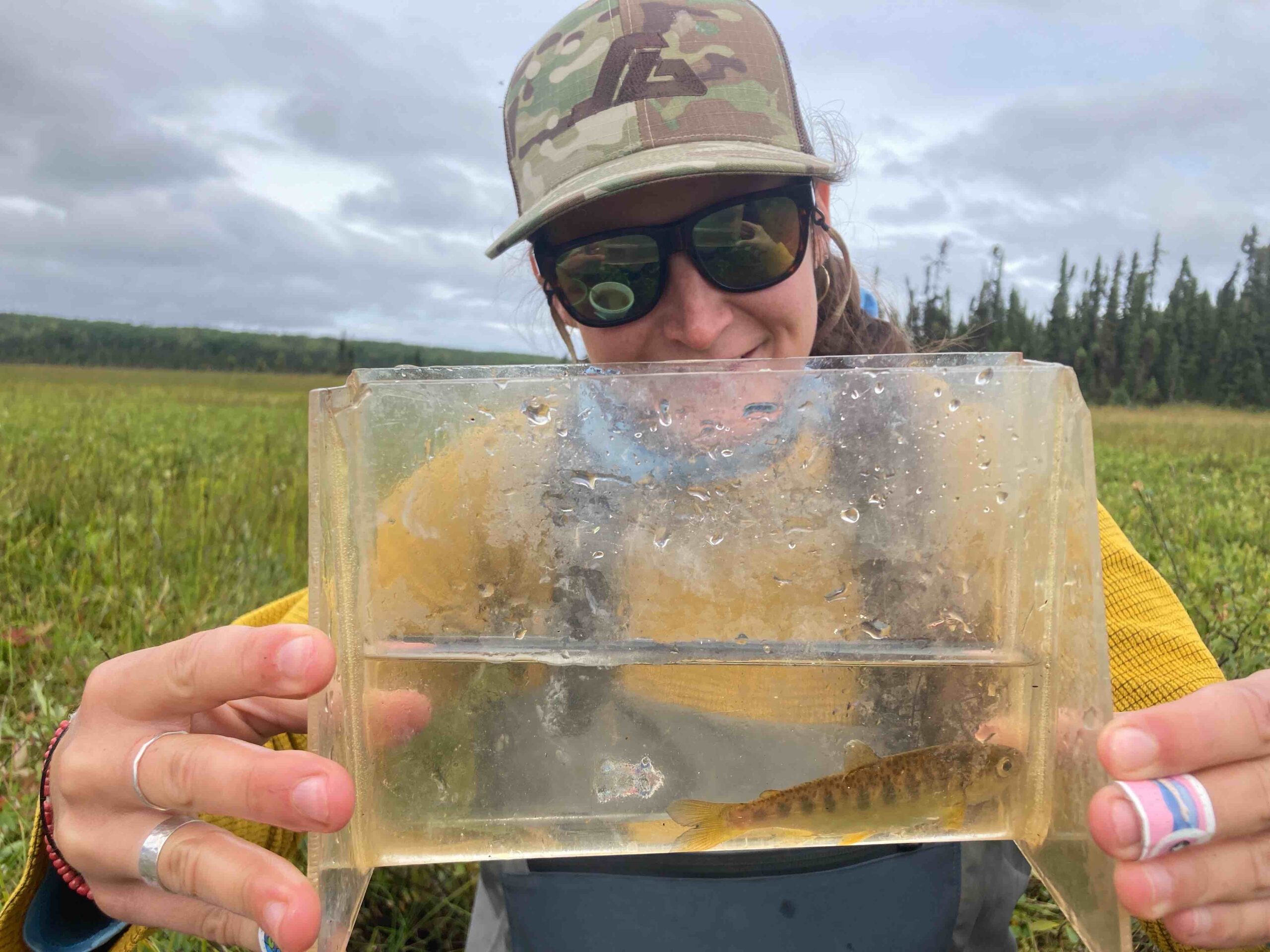 Woman holding juvenile salmon in a clear photarium, outdoors in wetlands area