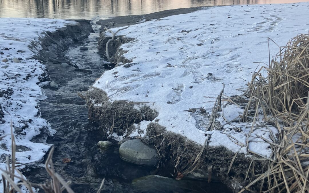 Eagle Rock Boat Launch near Soldotna, Alaska