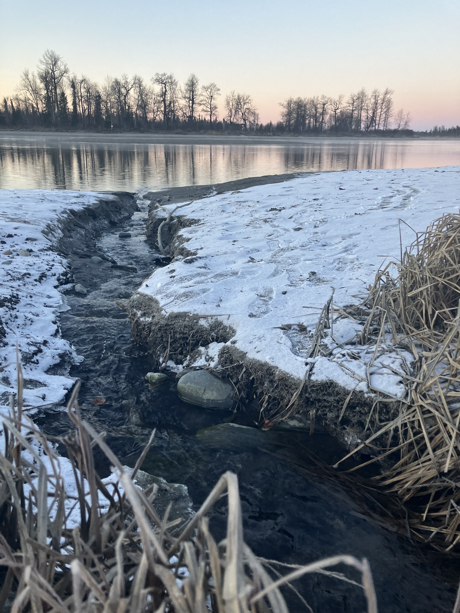 Eagle Rock Boat Launch near Soldotna, Alaska